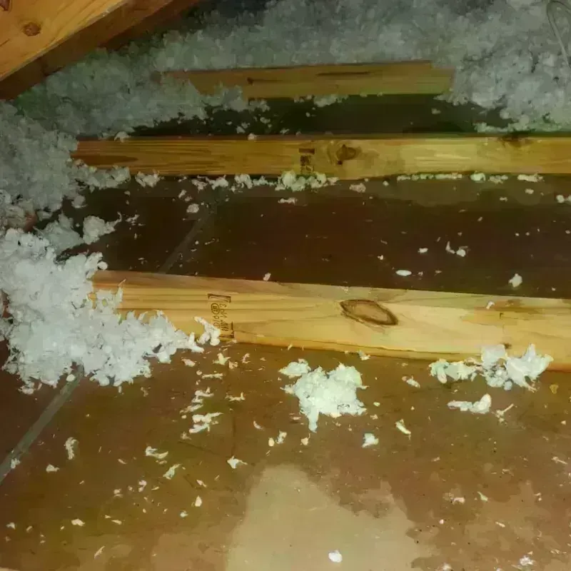 Attic Water Damage in Sevier County, AR